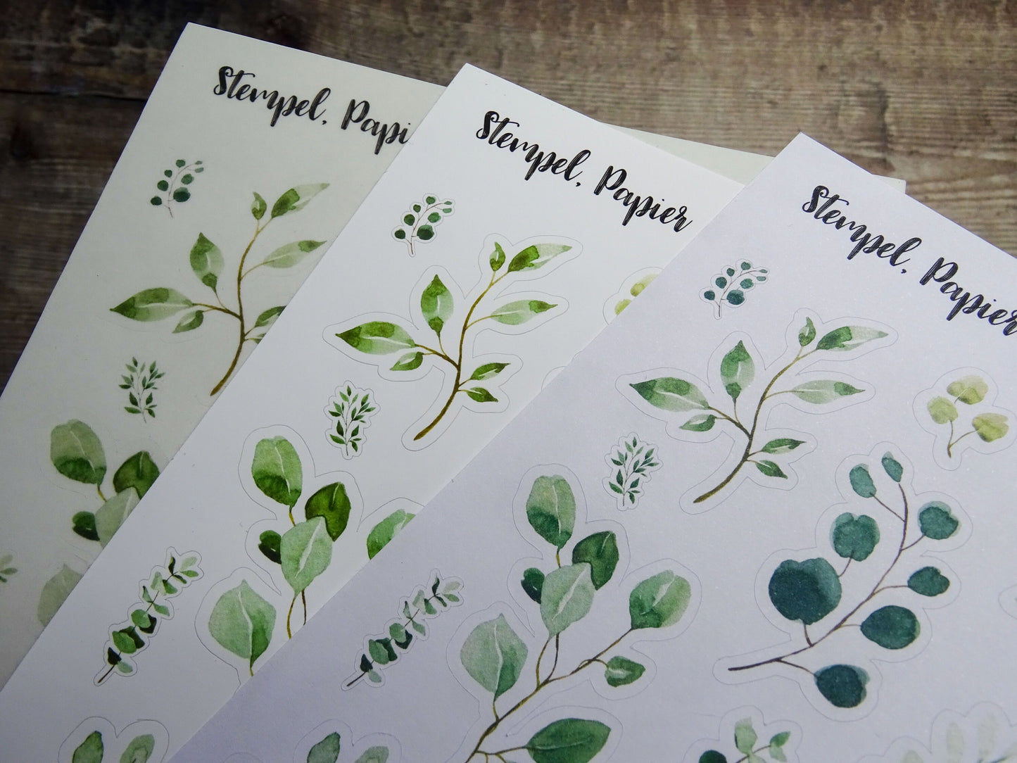 Stickerbogen Eukalyptus, grüne Zweige, einzeln ablösbare Sticker zum Dekorieren für Bullet Journal, Planer und Kalender