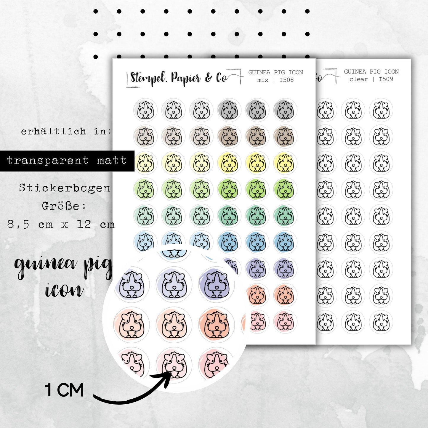 Stickerbogen Meerschwein, kreisrunde Symbol Sticker in transparent matt für Bullet Journal, Planer und Kalender